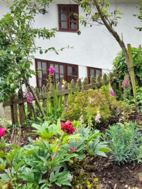 Delightful Devon Cottage